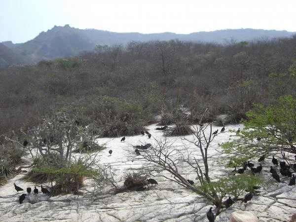 Tuxtla Gutiérrez
