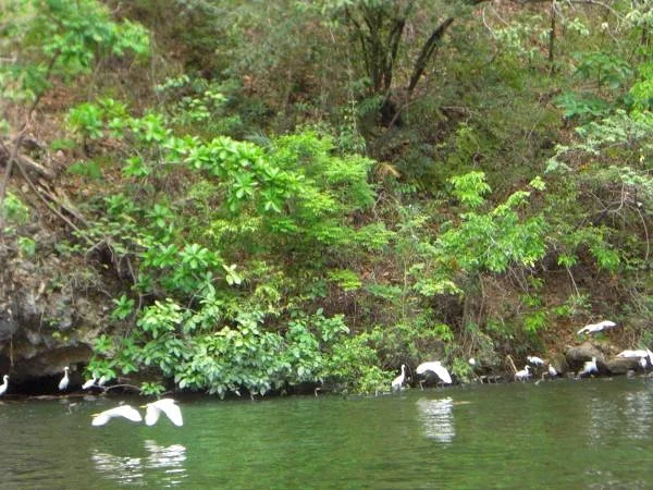 Tuxtla Gutiérrez