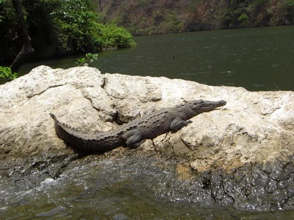 Tuxtla Gutiérrez