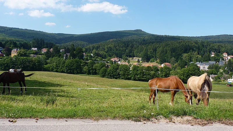 Le Hohwald