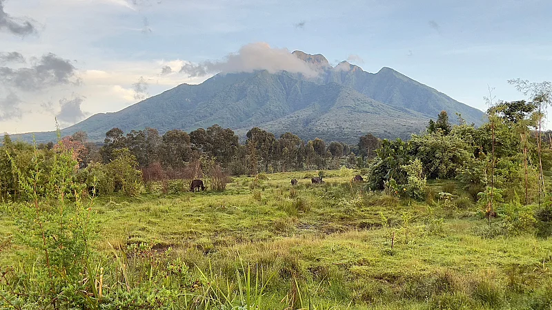 Musanze