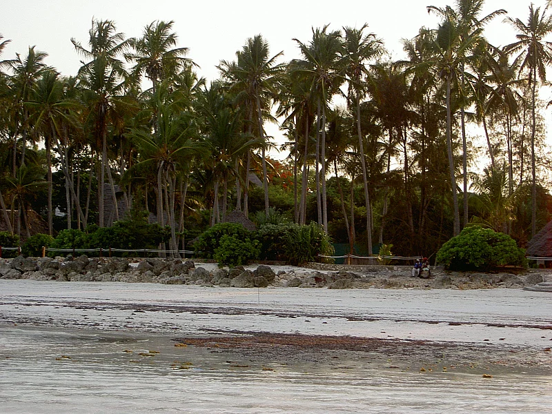 Kiwengwa