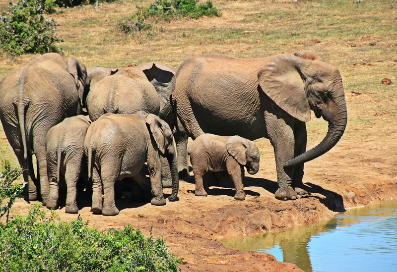 Nelspruit