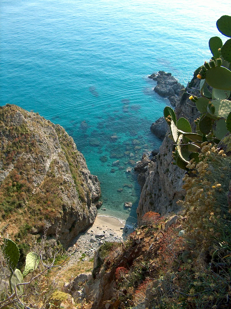 Ricadi