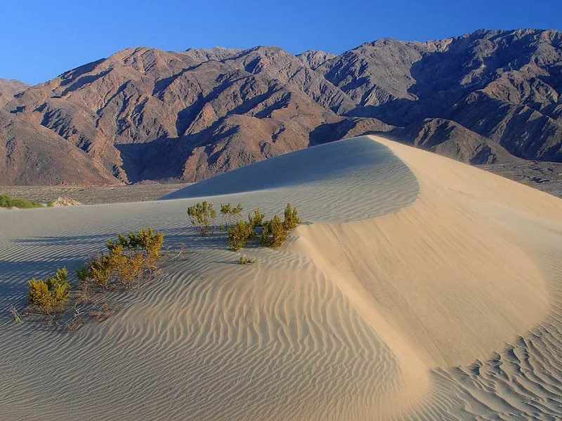 Lone Pine