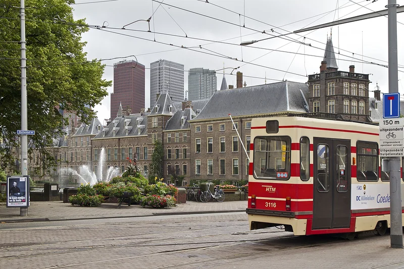 The Hague