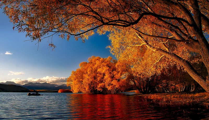 Twizel
