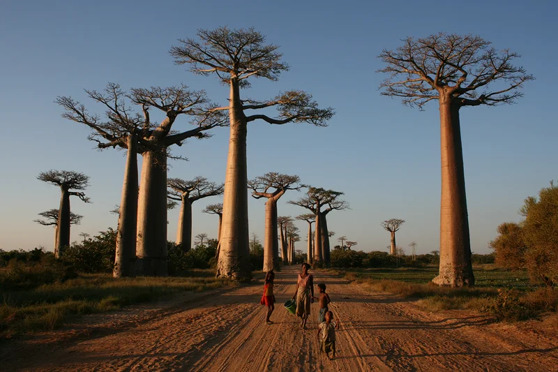 Morondava