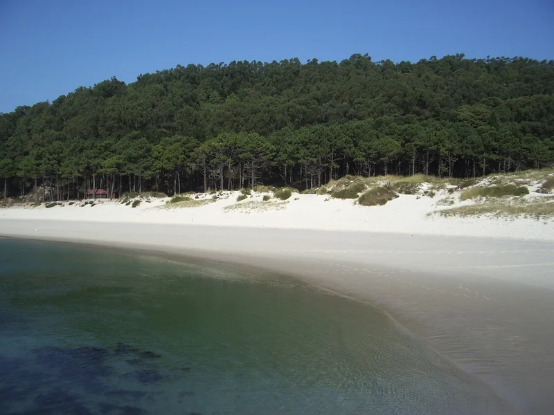 Vigo
