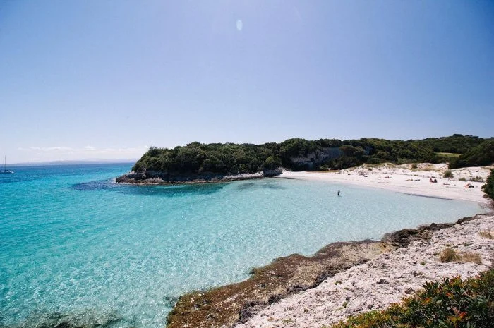 Bonifacio