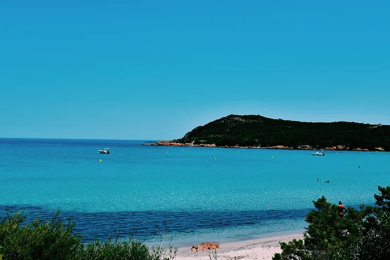 Bonifacio