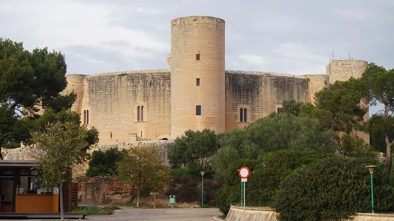 Palma