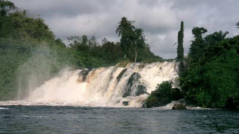 Kribi