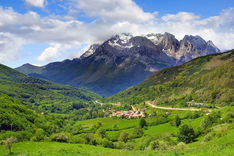 Cabrales