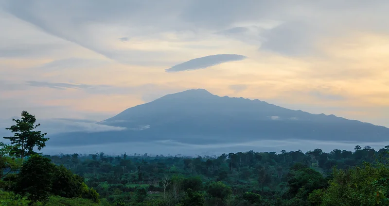 Buea