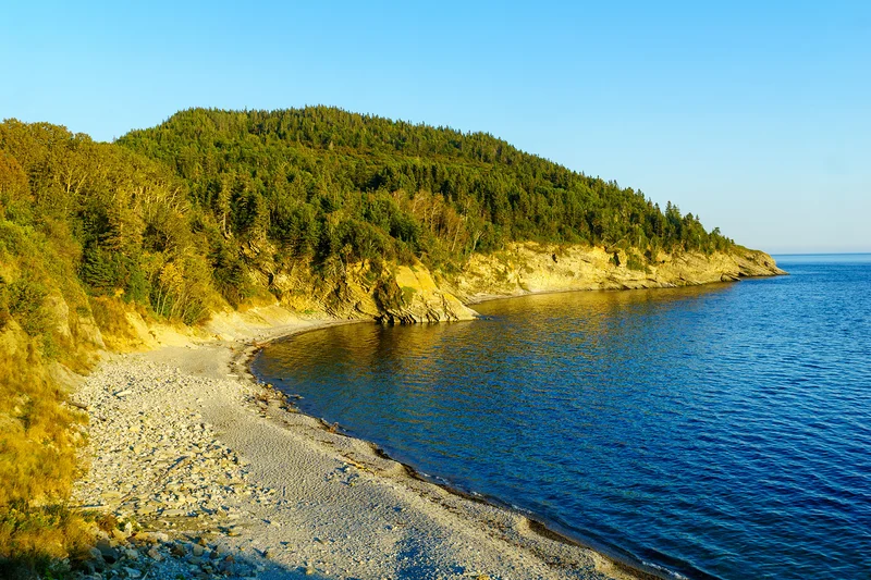 Gaspe