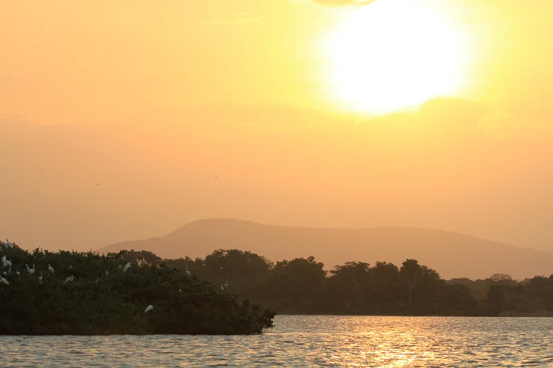 Selous Game Reserve