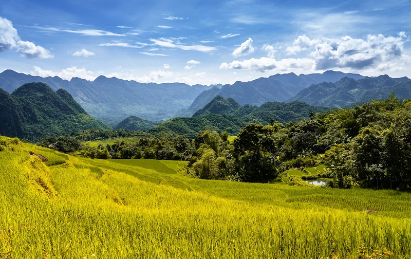 Mai Chau