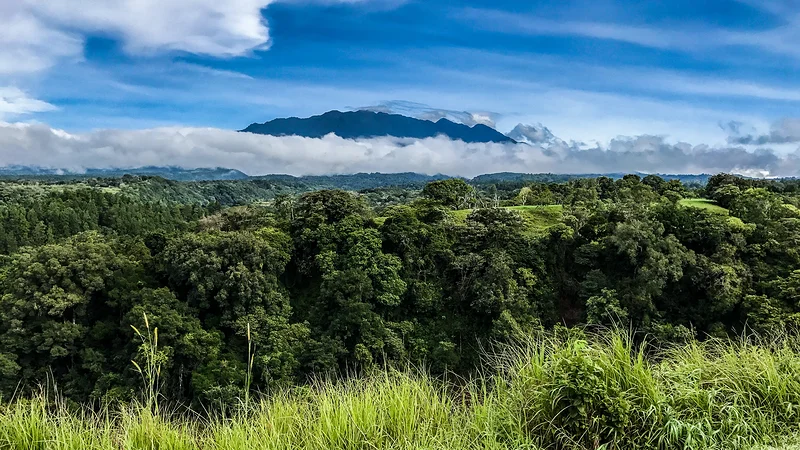 Volcan