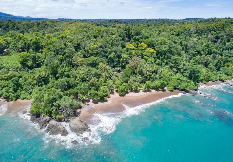 Puerto Jimenez