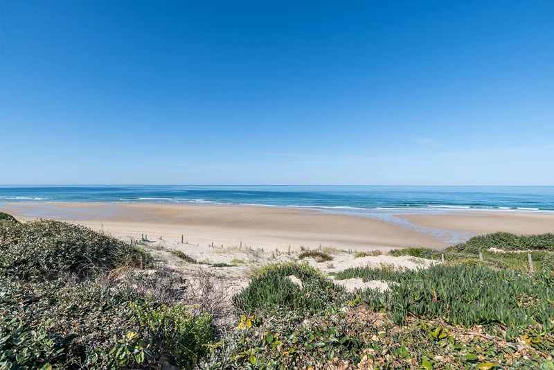 Biscarrosse