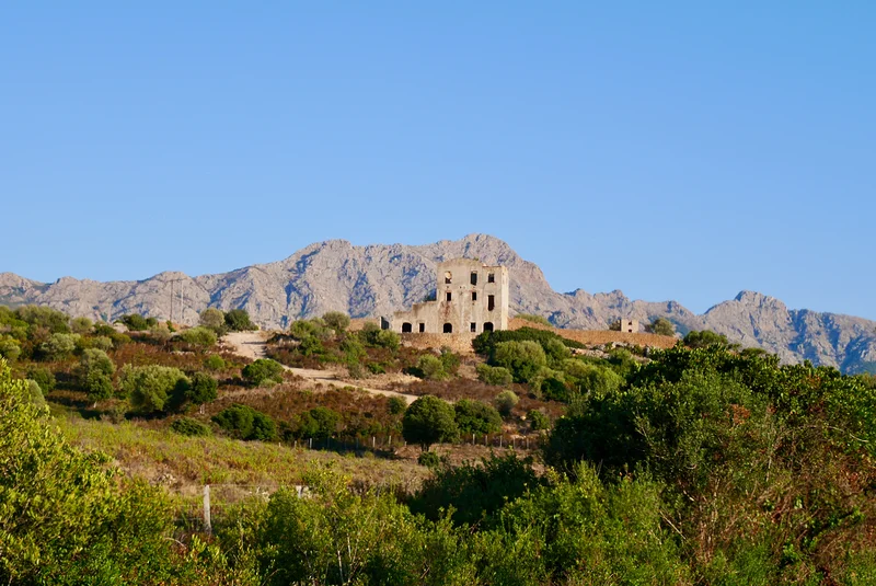 Calenzana
