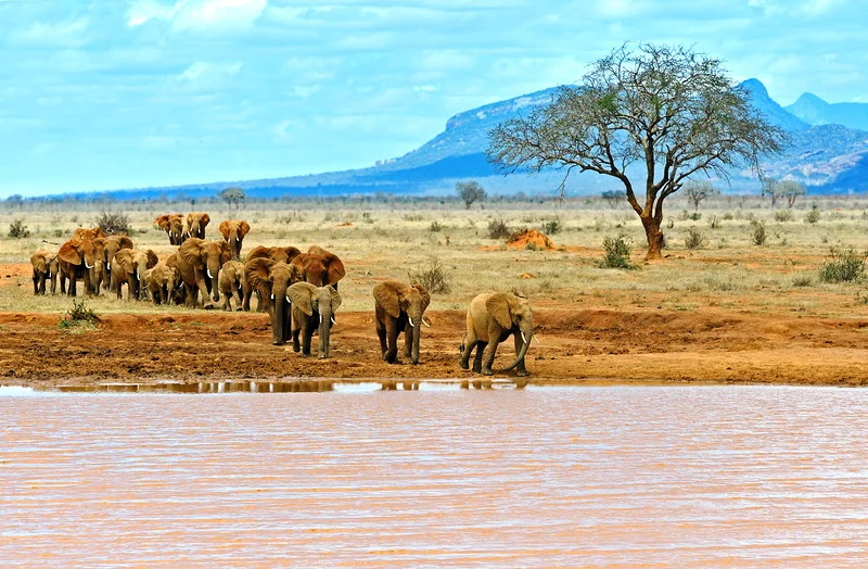 Taita Hills