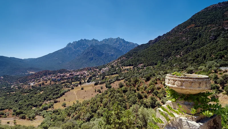 Moltifao