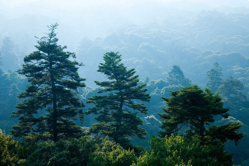 Nara