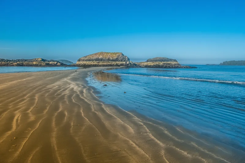 Tofino